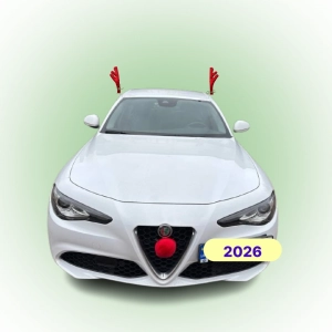 Різдвяні ріжки на автомобіль з носом оленя