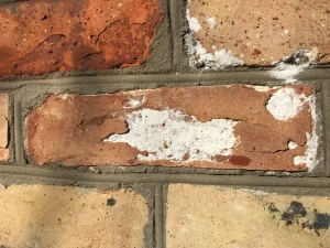 Захист від висолів 10л, моху, плісняви, бруду, гідрофобізатор