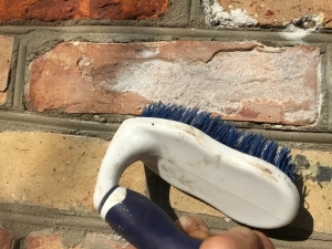 Захист від висолів 5л, моху, плісняви, бруду, гідрофобізатор