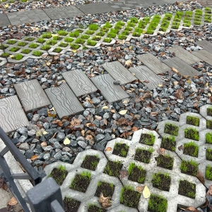 Форма для тротуарної плитки Еко